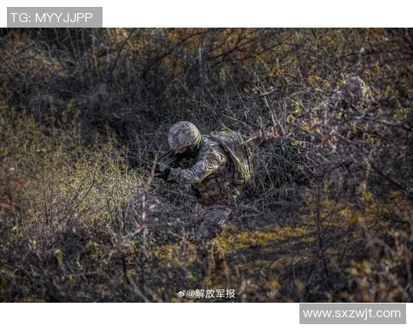 南京攀岩队战术表现数据分析及其对比赛成绩的影响研究