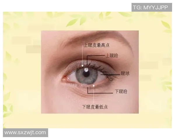 眼睛健康隐患揭秘足球明星背后的视力问题与挑战