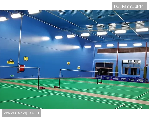 北京羽毛球队防反战术解析及其在比赛中的应用探讨