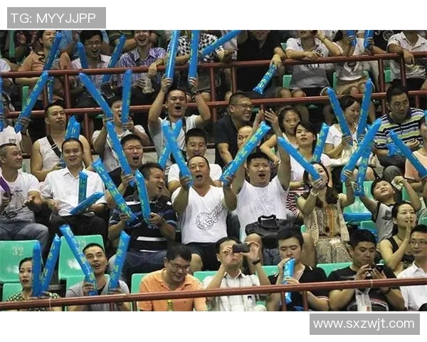 南京羽毛球队实力深度解析与其他队伍的对比分析